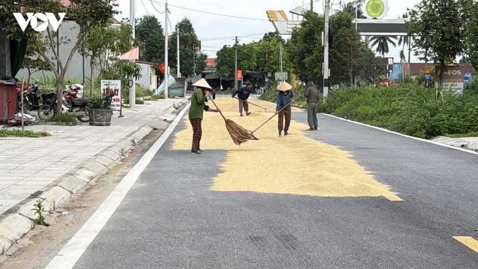 Thanh Hóa chấn chỉnh tình trạng phơi lúa trên đường, ngăn nguy cơ TNGT Thanh Hóa chấn chỉnh tình trạng phơi lúa trên đường, ngăn nguy cơ TNGT