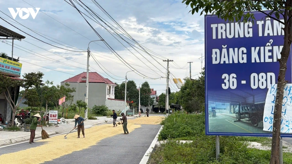 Thanh Hóa chấn chỉnh tình trạng phơi lúa trên đường, ngăn nguy cơ TNGT Thanh Hóa chấn chỉnh tình trạng phơi lúa trên đường, ngăn nguy cơ TNGT