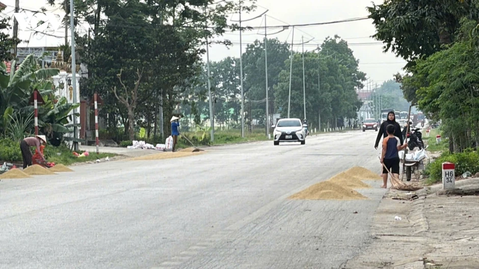 Thanh Hóa chấn chỉnh tình trạng phơi lúa trên đường, ngăn nguy cơ TNGT Thanh Hóa chấn chỉnh tình trạng phơi lúa trên đường, ngăn nguy cơ TNGT