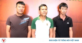 Thanh Hóa khởi tố 3 đối tượng bán lợn nhiễm dịch tả châu Phi ra thị trường