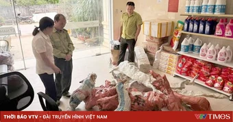 Thanh Hóa: Phát hiện, tạm giữ 15 phôi cây muội hồng không rõ nguồn gốc