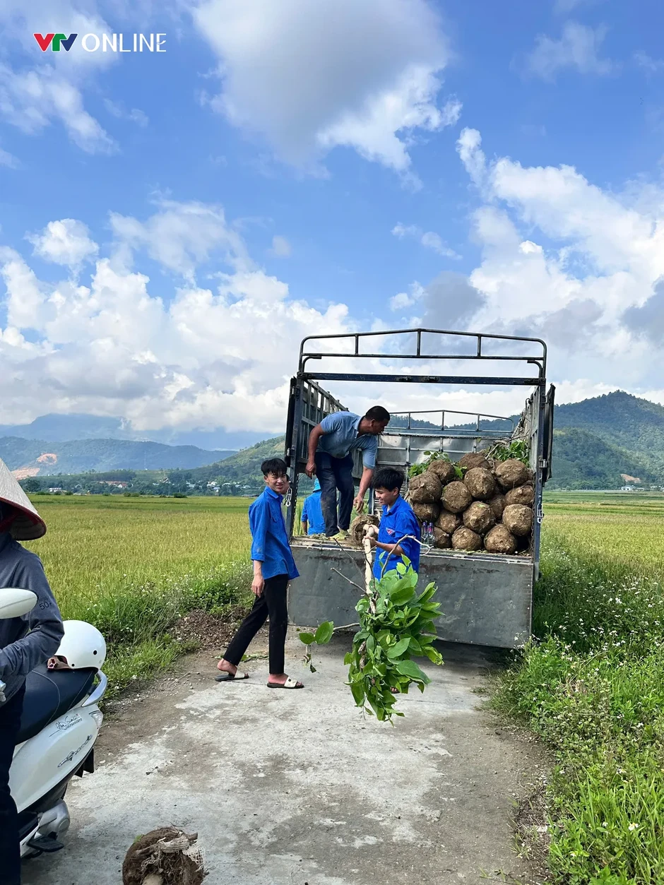 Thanh niên Lai Châu phát động “Tết trồng cây đời đời nhớ ơn Bác Hồ” Thanh niên Lai Châu phát động “Tết trồng cây đời đời nhớ ơn Bác Hồ”