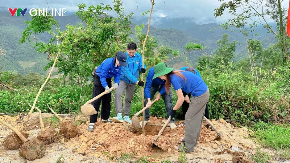 Thanh niên Lai Châu phát động “Tết trồng cây đời đời nhớ ơn Bác Hồ” Thanh niên Lai Châu phát động “Tết trồng cây đời đời nhớ ơn Bác Hồ”