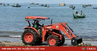 Thành phố Hồ Chí Minh thu gom hàng chục tấn lục bình tràn vào bãi tắm Bãi Trước