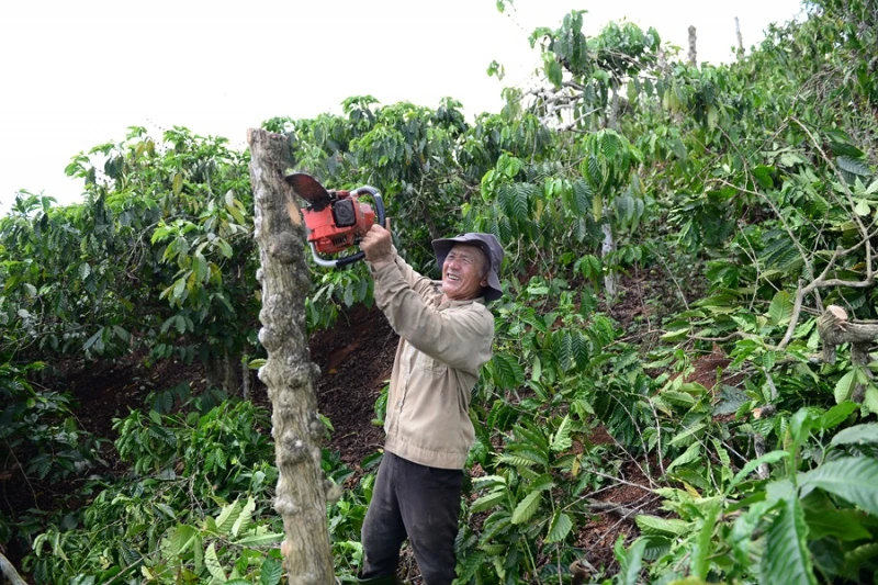 Tháo gỡ từng “điểm nghẽn”, tăng tốc hai tuyến cao tốc chiến lược của Lâm Đồng