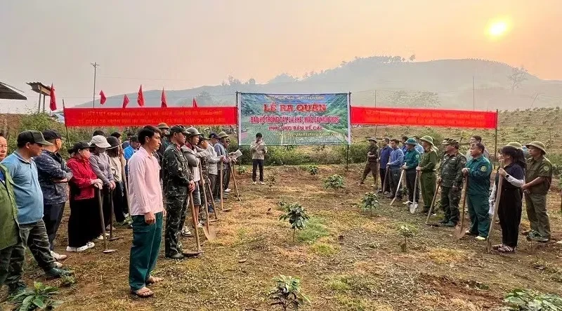 Tháo "điểm nghẽn" để nông nghiệp Điện Biên bứt phá