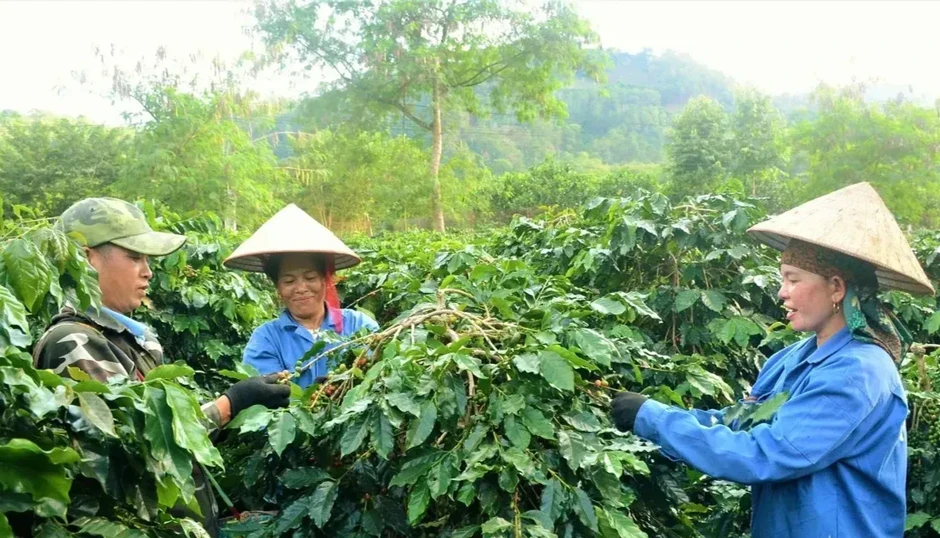Tháo "điểm nghẽn" để nông nghiệp Điện Biên bứt phá