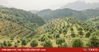 Tháo "điểm nghẽn" để nông nghiệp Điện Biên bứt phá
