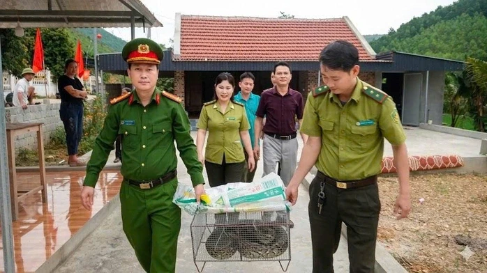 Thấy con trăn trong vườn nhà, người dân vội báo công an Thấy con trăn trong vườn nhà, người dân vội báo công an