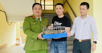 Thấy con vật quý bò trên đường, thanh niên liền bắt giao nộp
