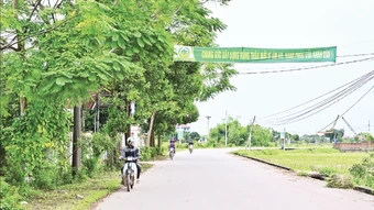 Thay đổi cách tiếp cận, đáp ứng yêu cầu nông thôn mới hiện đại