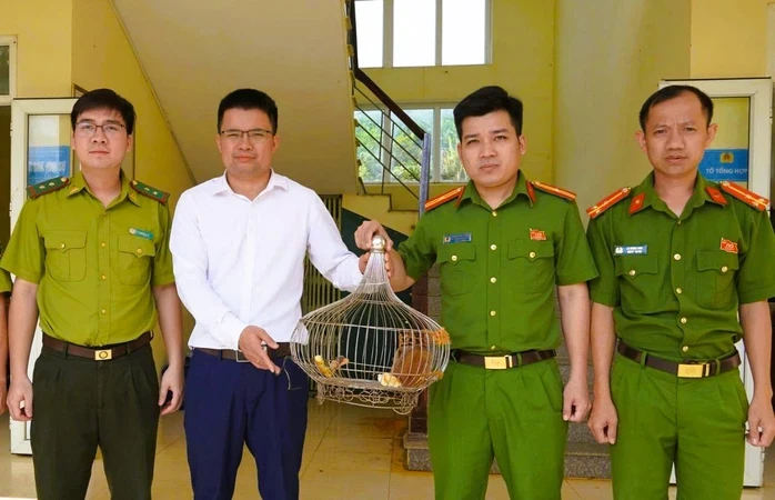 Thấy động vật sách đỏ đi lạc liền bắt giao nộp công an Thấy động vật sách đỏ đi lạc liền bắt giao nộp công an