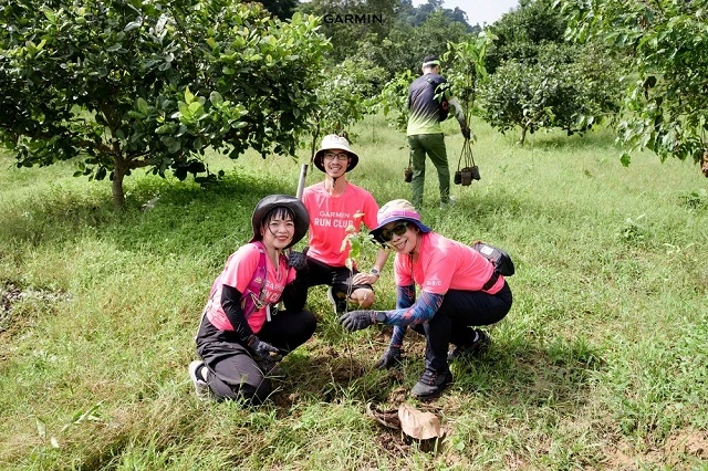 Thêm 1.000 trồng mới tại Khu bảo tồn thiên nhiên Núi Ông Thêm 1.000 trồng mới tại Khu bảo tồn thiên nhiên Núi Ông