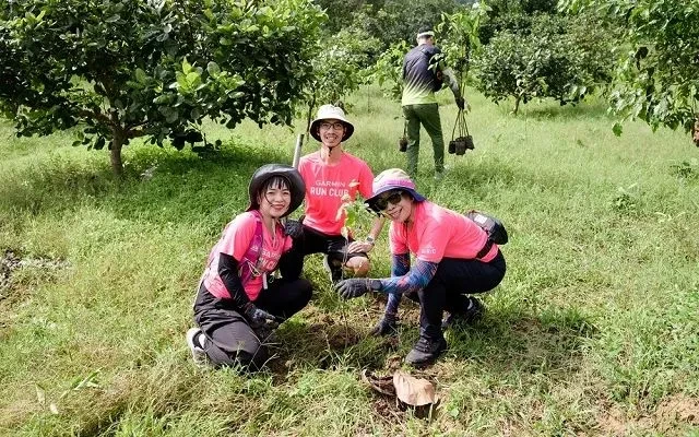 Thêm 1.000 trồng mới tại Khu bảo tồn thiên nhiên Núi Ông Thêm 1.000 trồng mới tại Khu bảo tồn thiên nhiên Núi Ông