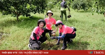 Thêm 1.000 trồng mới tại Khu bảo tồn thiên nhiên Núi Ông