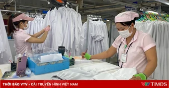 Thêm chính sách giúp người lao động cải thiện lương hưu