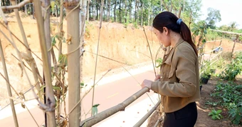 Thêm dự án hạ cốt nền ở Đồng Nai khiến nhà dân 'cheo leo' trên đỉnh đồi