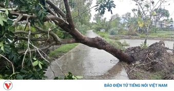 Thiên tai gây thiệt hại hơn 25 tỷ đồng ở Cà Mau