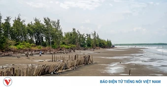 Thiên tai gây thiệt hại hơn 31,8 tỷ đồng tại Vĩnh Long