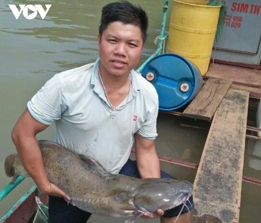 Thoát nghèo, vươn lên khá giả từ đầu tư nuôi cá lồng trên lòng hồ thuỷ điện Thoát nghèo, vươn lên khá giả từ đầu tư nuôi cá lồng trên lòng hồ thuỷ điện