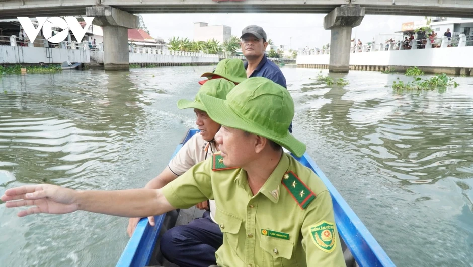 Thông tin 2 con cá sấu xuất hiện ở sông Tiểu Cần là không chính xác Thông tin 2 con cá sấu xuất hiện ở sông Tiểu Cần là không chính xác