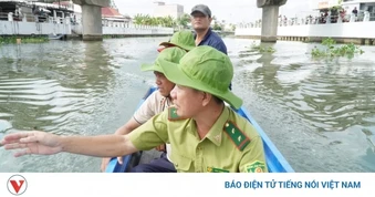 Thông tin 2 con cá sấu xuất hiện ở sông Tiểu Cần là không chính xác