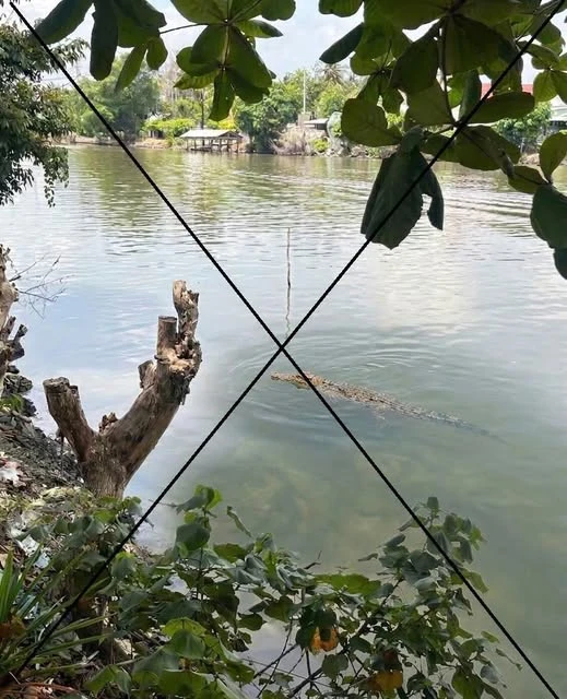 Thông tin lan truyền “cá sấu" xuất hiện trên sông Chắc Băng”: Tạo ảnh bằng AI để mẹ dọa em gái! Thông tin lan truyền “cá sấu" xuất hiện trên sông Chắc Băng”: Tạo ảnh bằng AI để mẹ dọa em gái!