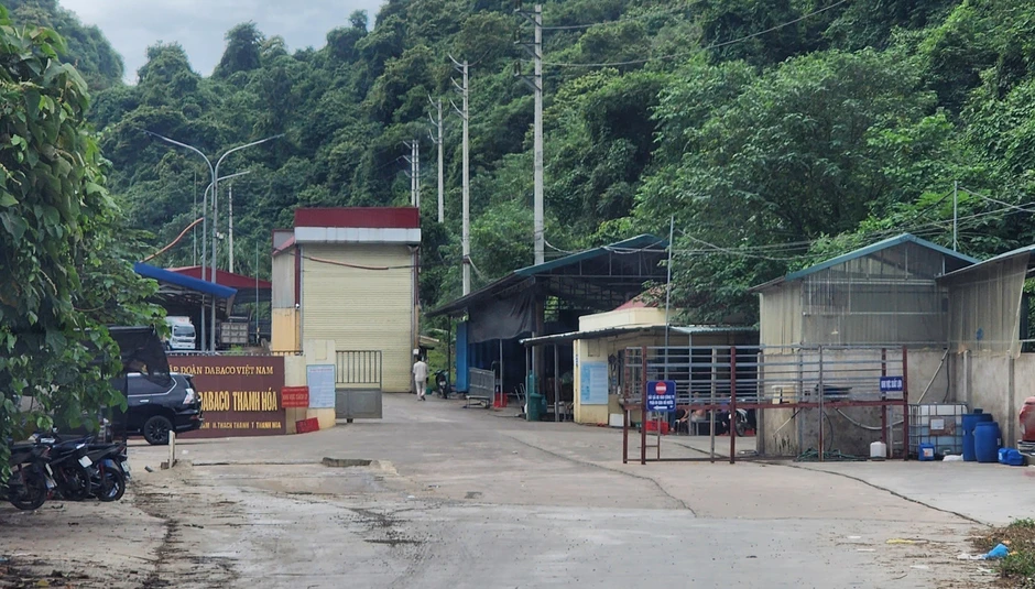 Thông tin mới vụ tai nạn 5 người chết, 2 người bị thương trong trại lợn ở Thanh Hóa Thông tin mới vụ tai nạn 5 người chết, 2 người bị thương trong trại lợn ở Thanh Hóa