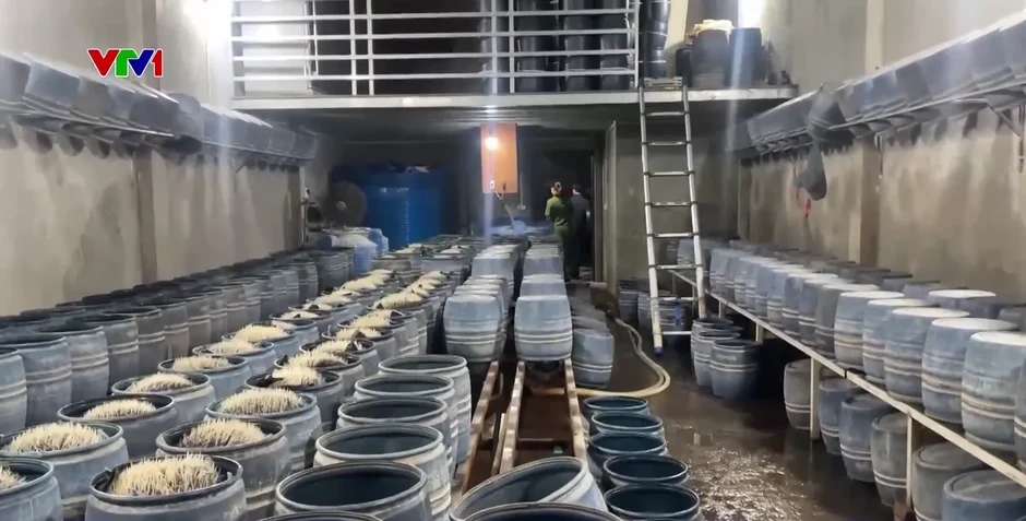 Thủ đoạn sử dụng chất cấm trong sản xuất nông sản Thủ đoạn sử dụng chất cấm trong sản xuất nông sản
