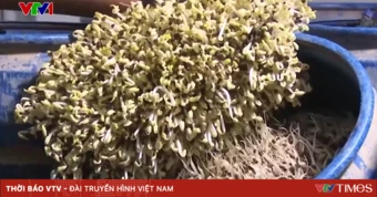 Thủ đoạn sử dụng chất cấm trong sản xuất nông sản
