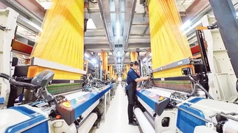 Thu hẹp khoảng cách thu nhập giới và vùng miền