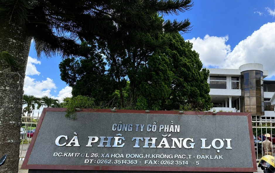 Thu hồi hơn 525ha đất liên kết trồng cà phê ở Đắk Lắk Thu hồi hơn 525ha đất liên kết trồng cà phê ở Đắk Lắk