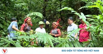 Thu Lũm - Bức tranh no ấm nơi "phên dậu" Tổ quốc