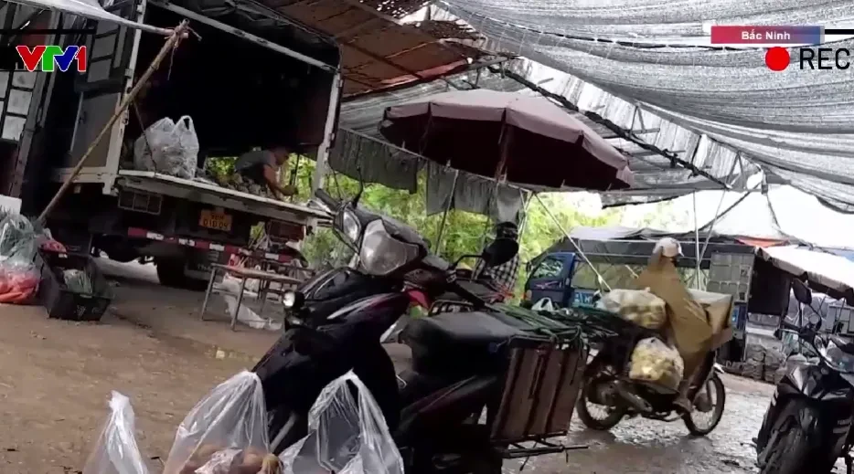 Thu phí trái phép tại chợ tự phát gần 2ha ở Bắc Ninh Thu phí trái phép tại chợ tự phát gần 2ha ở Bắc Ninh