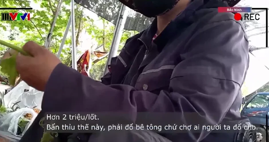 Thu phí trái phép tại chợ tự phát gần 2ha ở Bắc Ninh Thu phí trái phép tại chợ tự phát gần 2ha ở Bắc Ninh