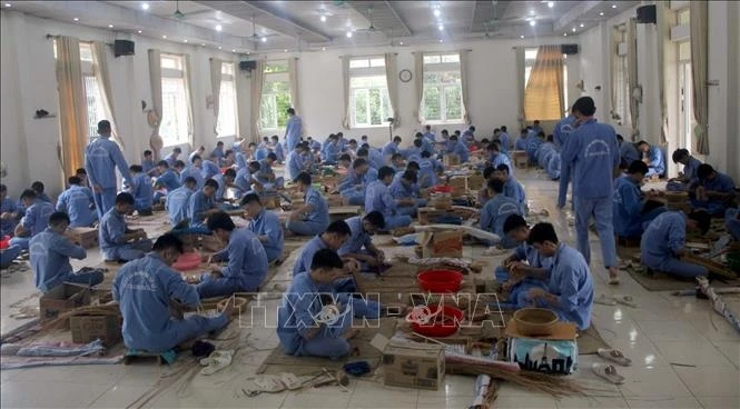 Thủ tục xác định tình trạng nghiện ma túy Thủ tục xác định tình trạng nghiện ma túy