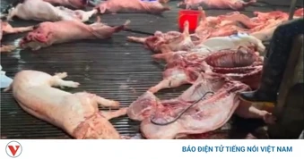 Thủ tướng yêu cầu chấn chỉnh kiểm soát giết mổ, xử lý nghiêm vi phạm ATTP