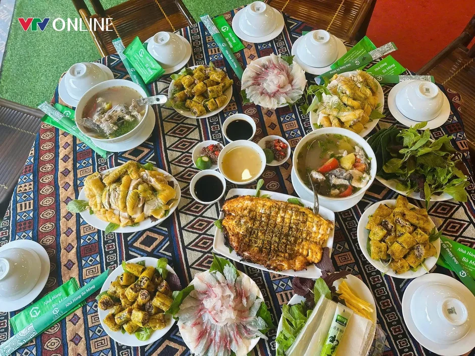 Thuận Hòa (Tuyên Quang): Định vị giá trị từ bước đi bền vững Thuận Hòa (Tuyên Quang): Định vị giá trị từ bước đi bền vững