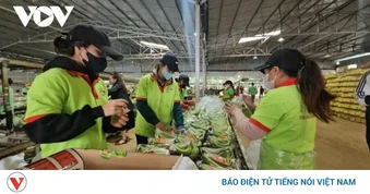 Thực phẩm “sạch”, hiểu sao cho đúng?