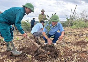 Tìa Dình phát động phong trào trồng, chăm sóc cây cà-phê, mắc-ca
