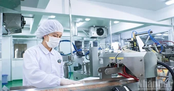 Tích cực triển khai dự án Luật sửa đổi, bổ sung Luật Bảo hiểm xã hội