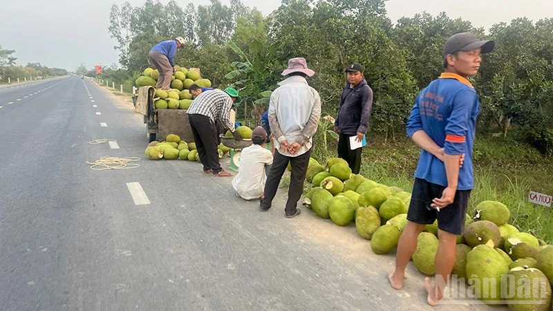 Tiềm ẩn nguy cơ mất an toàn giao thông trên tuyến tránh Quốc lộ 30