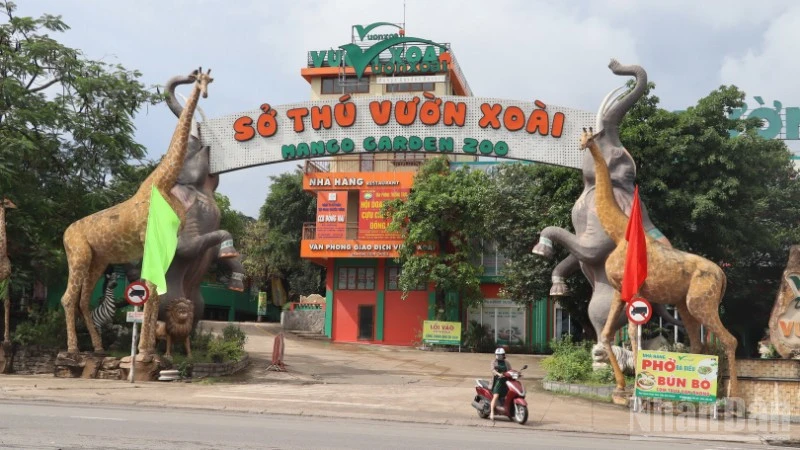 Tiến độ xử lý 5 vụ việc sai phạm ở Đồng Nai Tiến độ xử lý 5 vụ việc sai phạm ở Đồng Nai