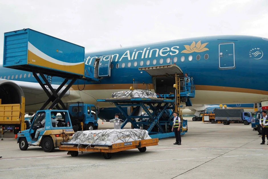 Tiễn đưa thi thể 15 nạn nhân vụ lật ca nô ở Phú Quốc về Ấn Độ Tiễn đưa thi thể 15 nạn nhân vụ lật ca nô ở Phú Quốc về Ấn Độ