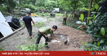 Tiêu hủy 127kg thằn lằn núi Bà Đen vận chuyển trái phép