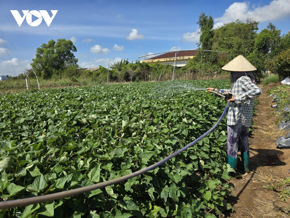Tìm giải pháp đảm bảo an ninh nguồn nước cho ĐBSCL trước biến đổi khí hậu Tìm giải pháp đảm bảo an ninh nguồn nước cho ĐBSCL trước biến đổi khí hậu