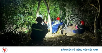 Tìm kiếm 3 nữ du khách mất tích khi đang chụp ảnh tại bán đảo Sơn Trà, Đà Nẵng