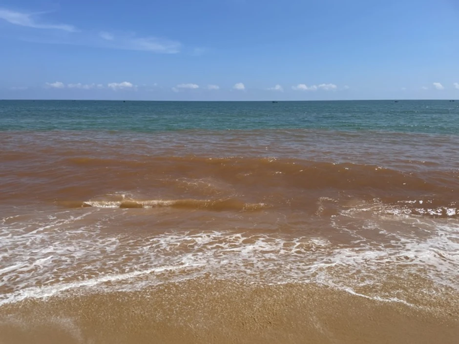 Tìm nguyên nhân nước biển Tam Quan đổi màu đỏ lạ Tìm nguyên nhân nước biển Tam Quan đổi màu đỏ lạ