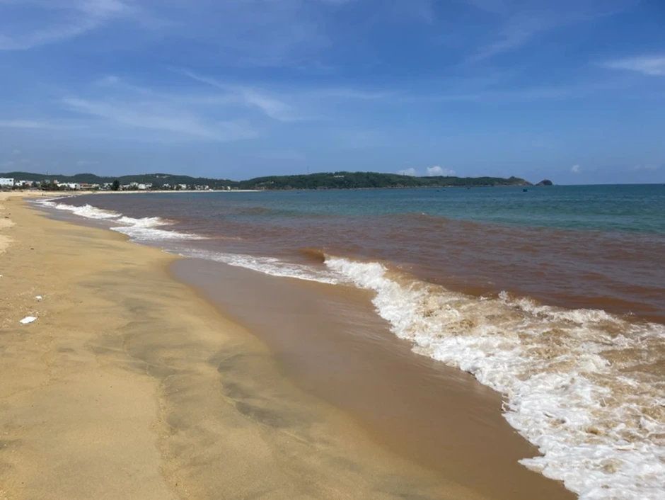 Tìm nguyên nhân nước biển Tam Quan đổi màu đỏ lạ Tìm nguyên nhân nước biển Tam Quan đổi màu đỏ lạ
