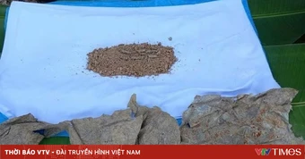 Tìm thấy hai hài cốt liệt sĩ cùng nhiều di vật tại huyện Đakrông, tỉnh Quảng Trị